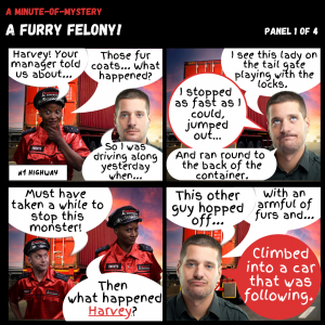 Minute-Of-Mystery | A Furry Felony!