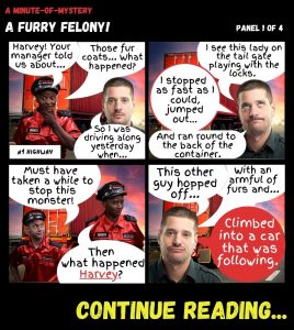 Minute-Of-Mystery | A Furry Felony!