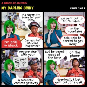Minute-Of-Mystery | My Darling Ginny