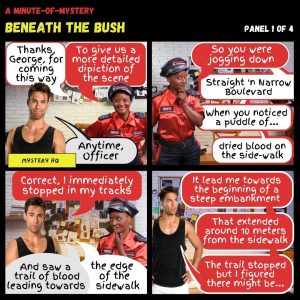 Minute-of-Mystery | Beneath The Bush