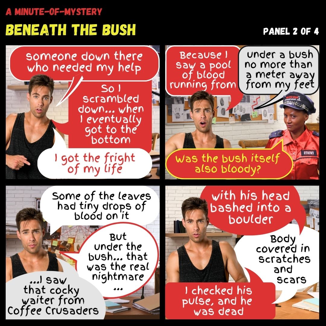 Minute-of-Mystery | Beneath The Bush