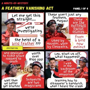 Minute-of-Mystery | A Feathery Vanishing Act